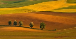 South Moravia 