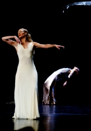 Dança- Cravos de Pina Bausch 