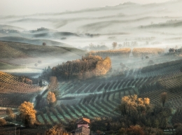 Fog in the hills 