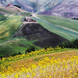 Colors of Tuscany .. 