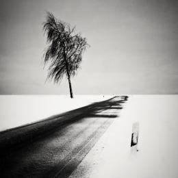 Winter Road 