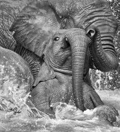 Bath with Mom 