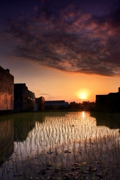 between sunset, fields, and buildings 