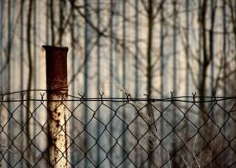 Old forbidden garden 