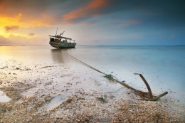 Stranded on the Low Tide 