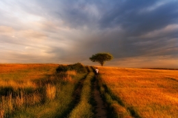 walking through the countryside 