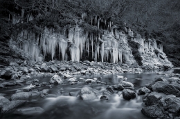 Fang of ice 