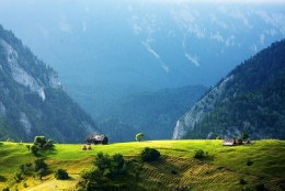 Landscape in green and blue_ And a bird too 