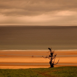 Omaha Beach ( Normandia ) 