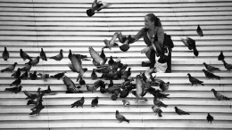 the girl and the pigeons 