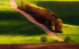 Moravian Field 