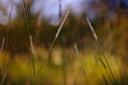 Douro´s Nature 