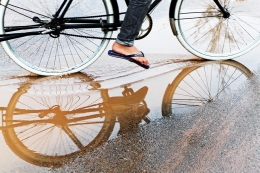 reflection bicycle 