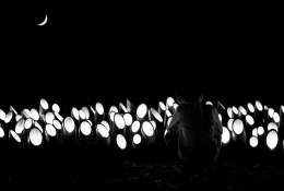 Bamboo lanterns 