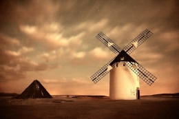 The wind mill 