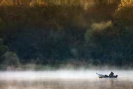 misty morning