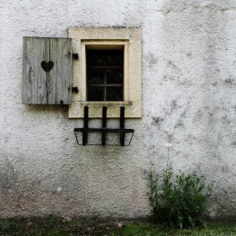 window and flower 