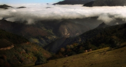 Bajo las nubes 