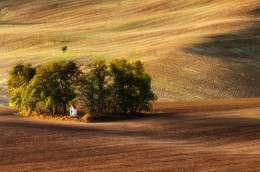 field chapel 