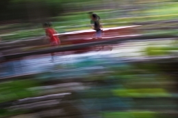 Children in the Gardens of Macau 