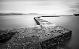 dock of the whales 