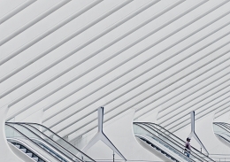 Guillemins Station 