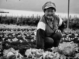 Balinese Farmer 