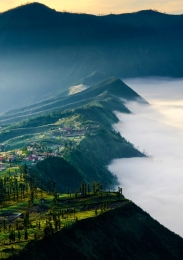 Foged at Bromo Hill 