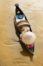 Tanggui Seller 