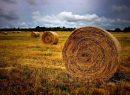 bales 