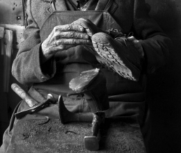 The hands of the shoe repairer 