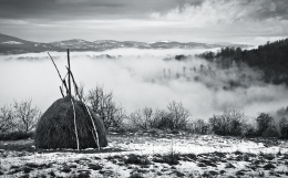 The land beyond the mist 