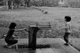 watering place 