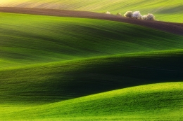 Green land 