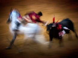 Tauromaquia 