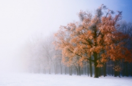 Winter pastel 