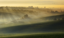 Moravian mists 