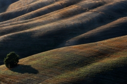 The guardian of the hills .. 