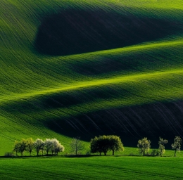 South Moravia 