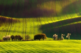 Green land 