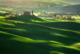 Green waves___ 