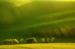 Moravian Fields 