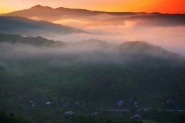 Fog at sunrise 