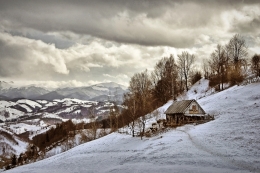 Rural Landscape 