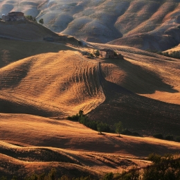 The colors of the earth and sun .. 