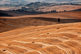 Toscana 