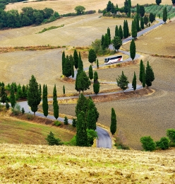 Downhill Boulevard 