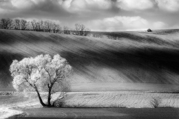 moravian fields 