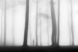 man in fog 