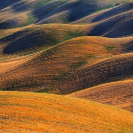 Tuscan hills .. 